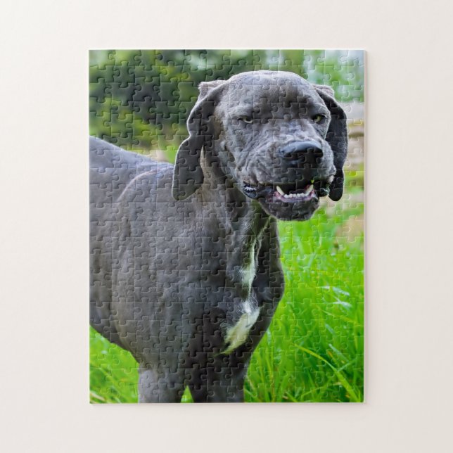 Deutsche Dogge. Puzzle (Vertikal)