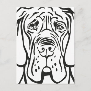 Deutsche Doggen Gesicht Postkarte