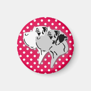 Deutsche Doggen Magnete