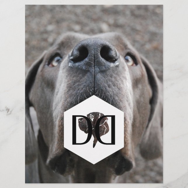 Deutsche Doggen Züchter Flyer (Vorne)