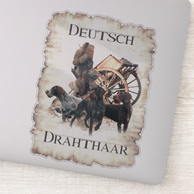 Deutsche Drahthaar Pointer Aufkleber (Detail)
