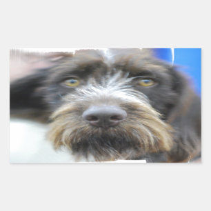 Deutsche Drahtkleber Rechteckiger Aufkleber