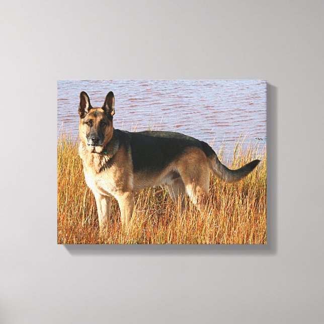 Deutsche Hirte Wrapped Canvas Print Leinwanddruck (Vorderseite)
