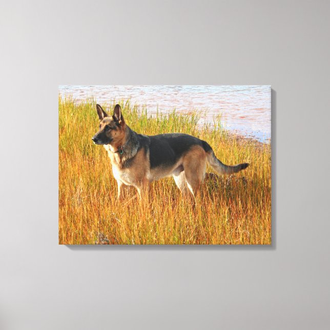 Deutsche Hirte Wrapped Canvas Print Leinwanddruck (Vorderseite)