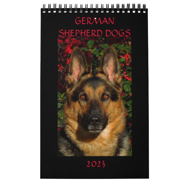 DEUTSCHE HUNDE - Single Page Calendar Kalender (Titelbild)