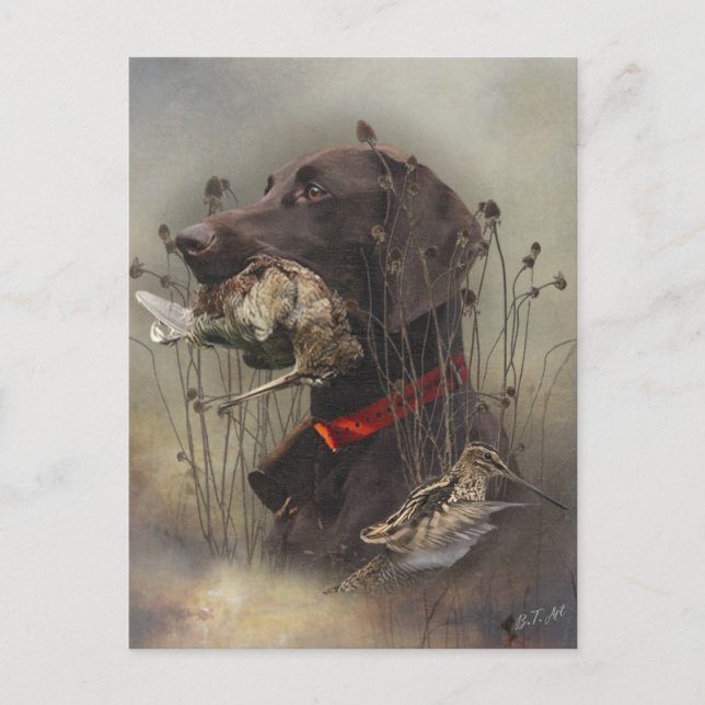 Deutsche Kurzzeiger Postkarte (Vorderseite)