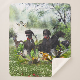 Deutsche Kurzzeiger Sherpadecke