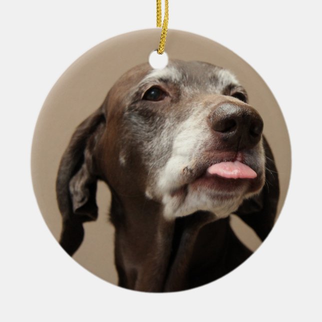 Deutsche Kurzzeigerschmuck Keramikornament (Vorne)