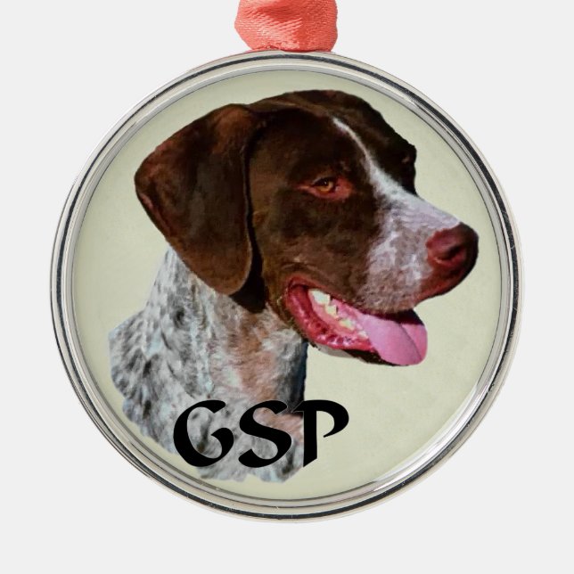 Deutsche Kurzzeiterkunst Silbernes Ornament (Vorne)