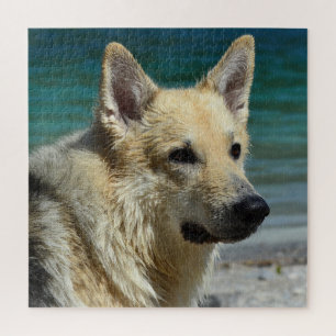 Deutsche Schafe am Meer Puzzle