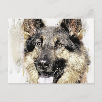 Deutsche Schäferhund Postkarte