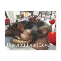 Deutsche Schäferhund Postkarte