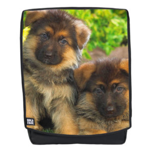 Deutsche Schäferhund-Welpen Rucksack