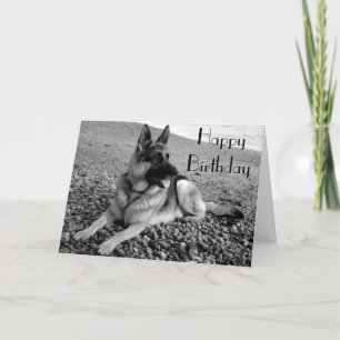 Deutsche Schäferhund Welpenhund Happy Birthday Car Karte