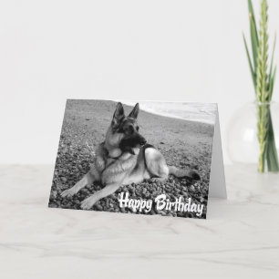 Deutsche Schäferhund Welpenhund Happy Birthday Car Karte