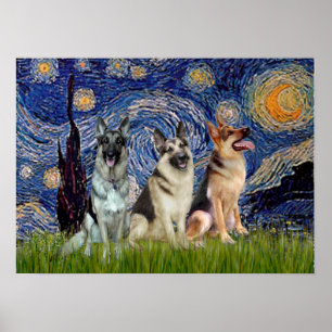 Deutsche Schäferhunde  Drei - Sternennacht Poster