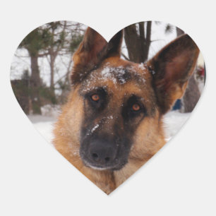 Deutsche Schäferkleber Herz-Aufkleber