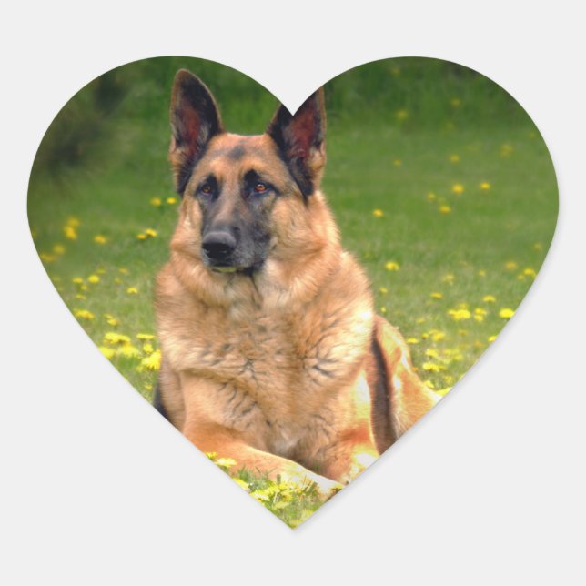 Deutsche Schäferkleber Herz-Aufkleber (Vorderseite)