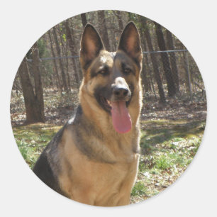Deutsche Schäferkleber Runder Aufkleber
