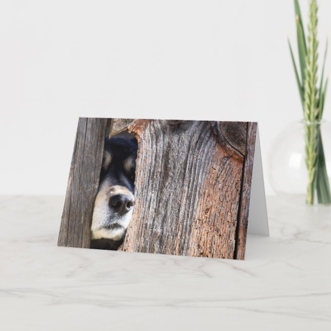 Deutsche Schäfernase durch Zaun pinkeln Karte (Vorderseite)