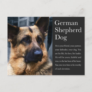 Deutsche Schäferpostkarte Postkarte