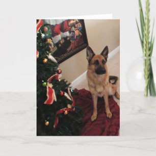 Deutsche Schäferweihnachtskarte Feiertagskarte