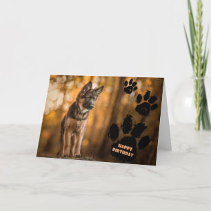 Deutsche Schäferwelpen-Geburtstagskarte. Karte