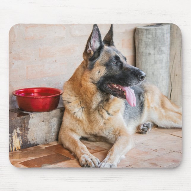 Deutsche Scheune durch Wasserbecken ruhen Mousepad (Vorne)