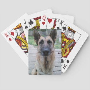 Deutsche Shepard Spielkarten
