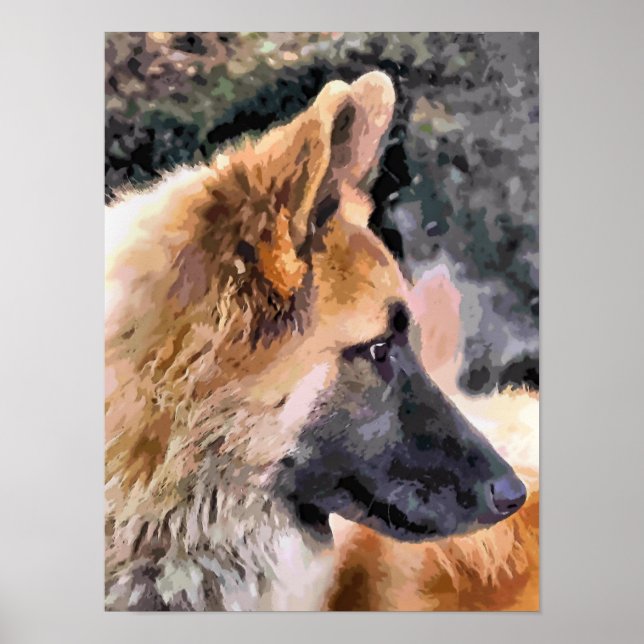 DEUTSCHE SHEPHERD DOG POSTER (Vorne)