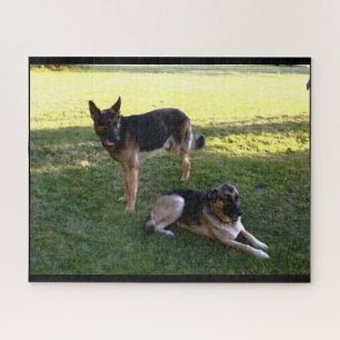DEUTSCHE SHEPHERD DOG PUZZLE
