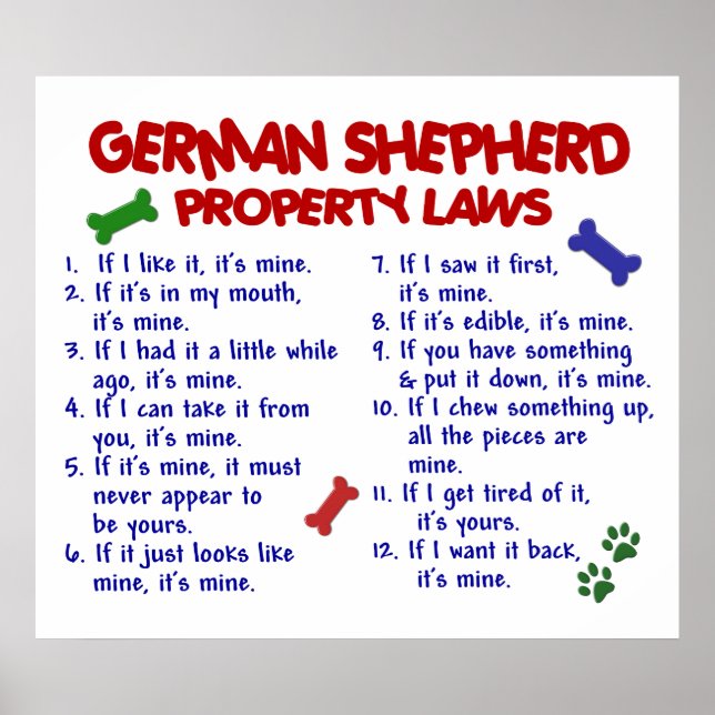 DEUTSCHE SHEPHERD PL2 POSTER (Vorne)