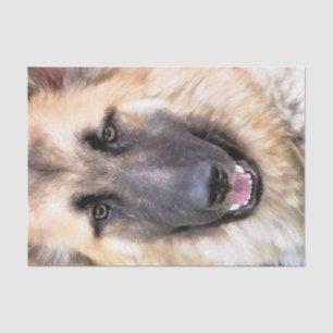 DEUTSCHE SHEPHERD SEIDENPAPIER
