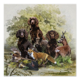 Deutsche Spaniels ( Deutscher Wachtelhund ) Poster