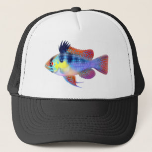 Deutscher blauer RAMCichlid Truckerkappe