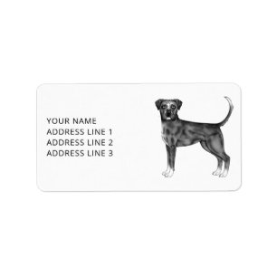 Deutscher Boxerhund in Schwarzweiß & benutzerdefin Adressaufkleber