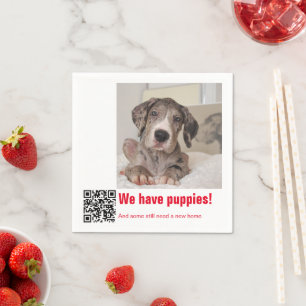 Deutscher Dogge Welpe zu verkaufen Serviette