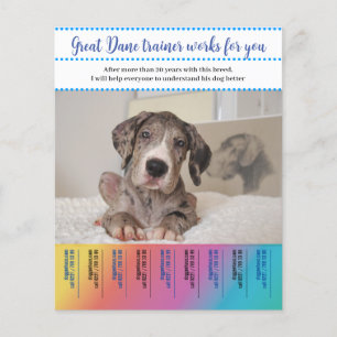 Deutscher Doggentrainer Flyer
