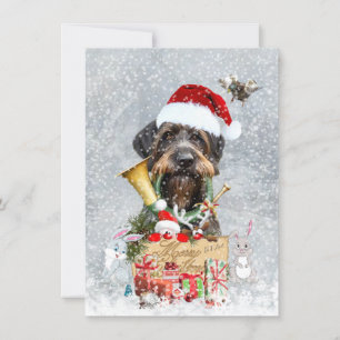 Deutscher Drahthaar Pointer, Jagdkarte Karte