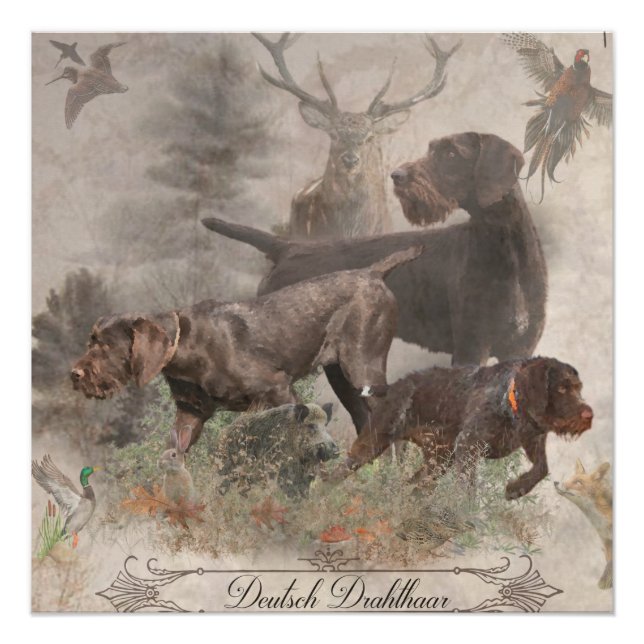 Deutscher Drahthaar Pointer Tapestry Poster (Vorderseite)