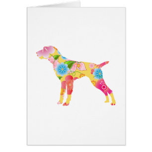 Deutscher Drahthaar-Zeiger