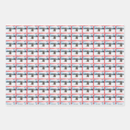 Deutscher Hirte 19" x 29" Faltpapierblätter. Geschenkpapier Set