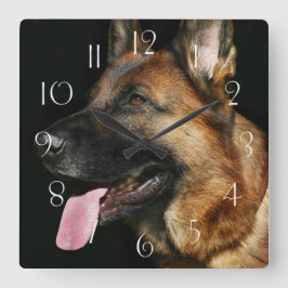 Deutscher Hirte auf schwarzem Hintergrund Quadratische Wanduhr