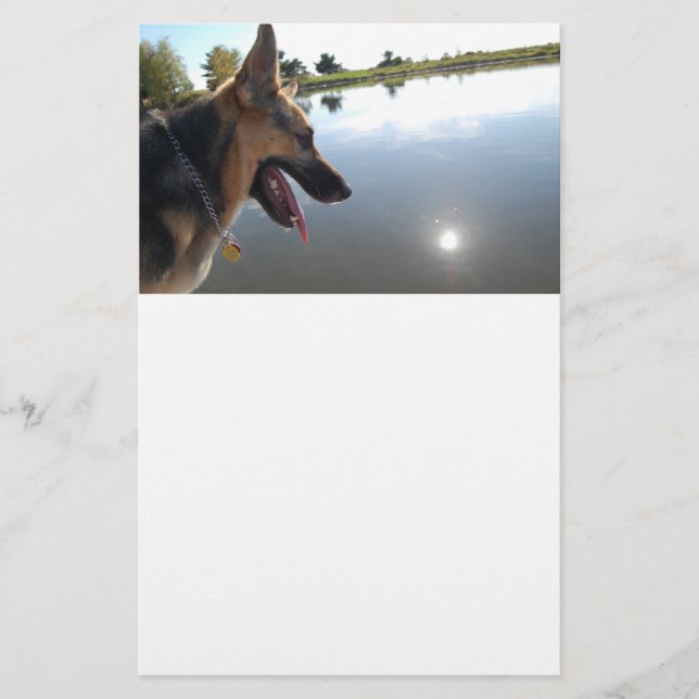 Deutscher Hirte/Bewundern der Aussicht Briefpapier (Vorderseite)