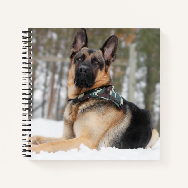 Deutscher Hirte im Schnee Notizbuch (Vorderseite)