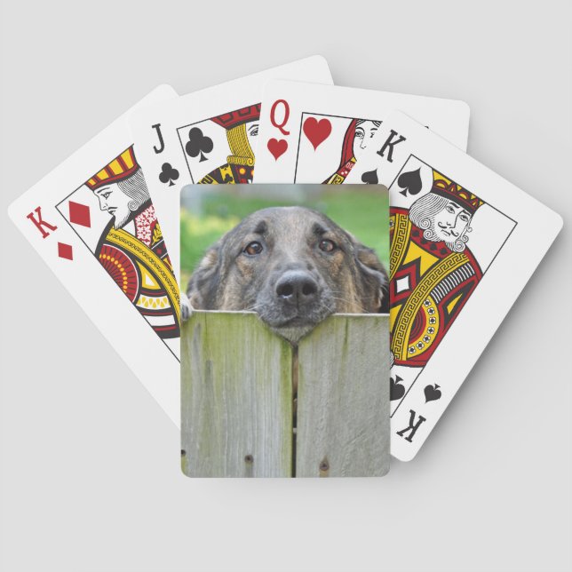 Deutscher Hirte mit Blick auf Zaun Spielkarten (Rückseite)