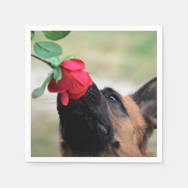 deutscher Hirte mit Rose Serviette (Vorderseite)