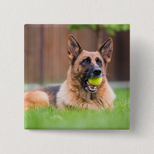 Deutscher Hirte mit Tennisball Button