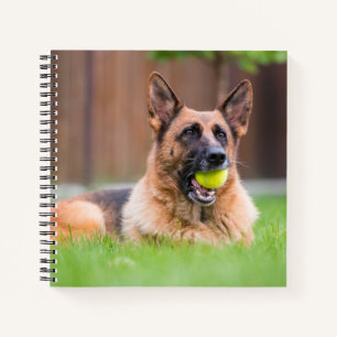 Deutscher Hirte mit Tennisball Notizbuch