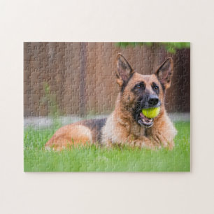 Deutscher Hirte mit Tennisball Puzzle